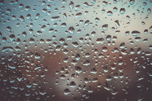 How to Dehumidify Your Room: Essential Tips for Lash Artists